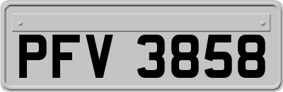 PFV3858