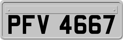 PFV4667