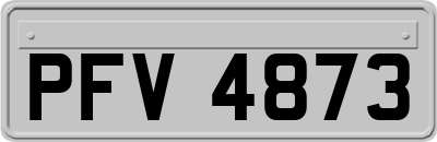 PFV4873