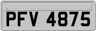PFV4875