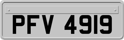 PFV4919