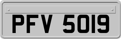 PFV5019