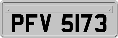 PFV5173