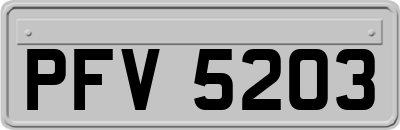 PFV5203