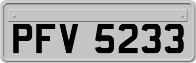 PFV5233