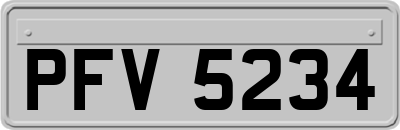 PFV5234