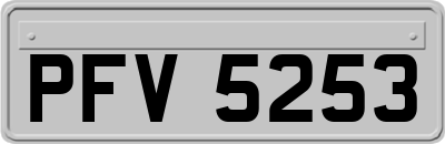 PFV5253