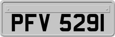 PFV5291