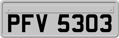 PFV5303