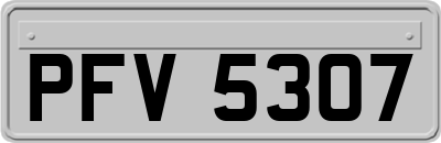PFV5307
