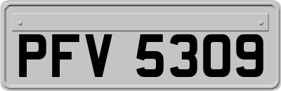 PFV5309