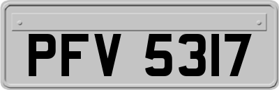 PFV5317