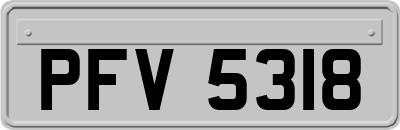PFV5318