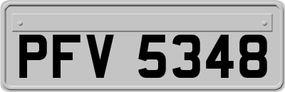 PFV5348