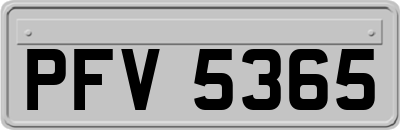 PFV5365