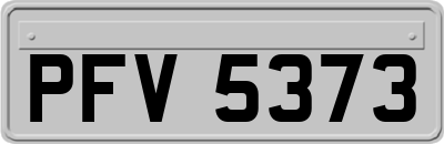 PFV5373