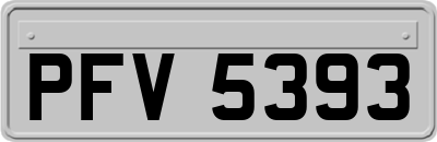 PFV5393