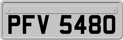 PFV5480