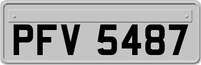 PFV5487
