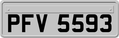 PFV5593