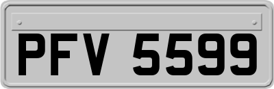 PFV5599