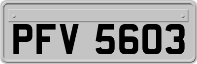 PFV5603