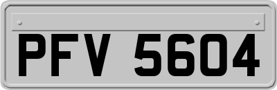 PFV5604