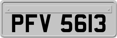 PFV5613