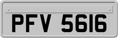 PFV5616