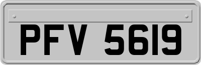 PFV5619