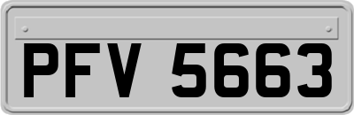 PFV5663
