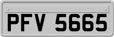 PFV5665