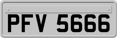 PFV5666