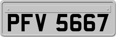 PFV5667
