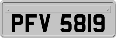 PFV5819