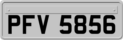 PFV5856