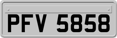 PFV5858
