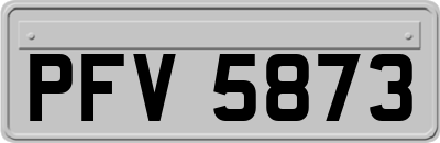 PFV5873