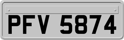 PFV5874