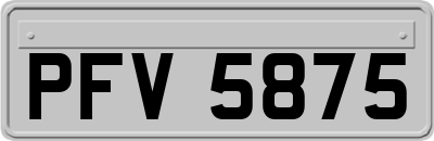 PFV5875