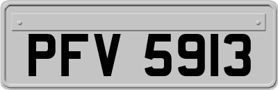 PFV5913