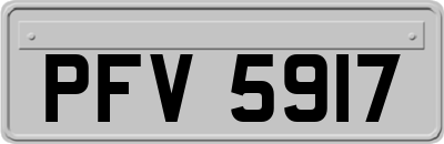 PFV5917