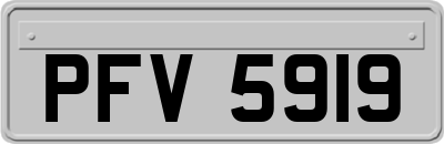 PFV5919