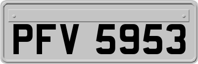 PFV5953