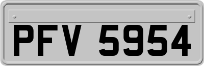 PFV5954