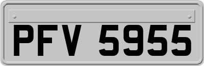 PFV5955