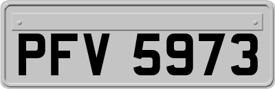 PFV5973