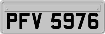 PFV5976