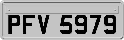 PFV5979