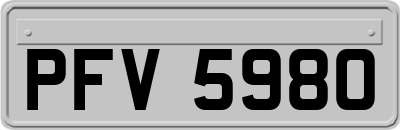 PFV5980